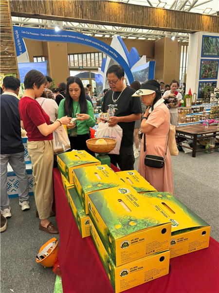 Vú sữa Hoàng Kim (HK-2): Sản phẩm chất lượng cao của Hoàng Toàn Farm chinh phục người tiêu dùng