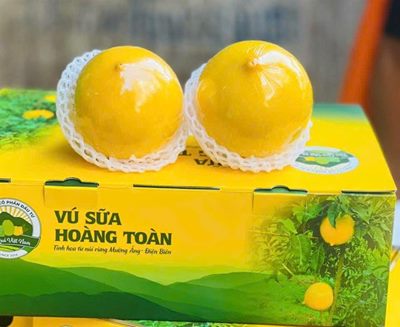 Chính sách bán hàng