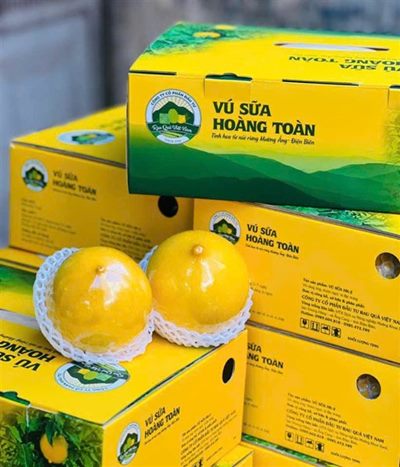 Chính sách vận chuyển