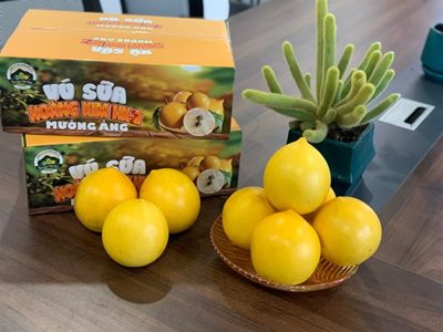Chính sách bảo mật