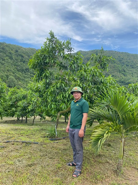 Khẳng định chất lượng nông sản Việt với vú sữa Hoàng Kim (HK-2) từ Hoàng Toàn Farm