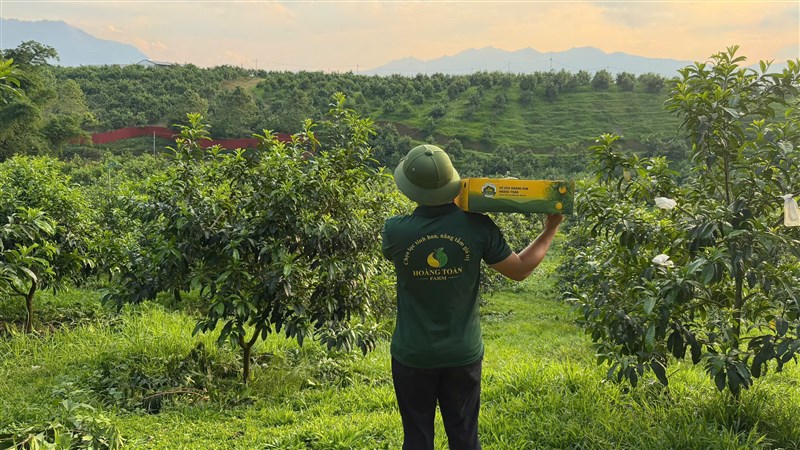 Câu chuyện Hoàng Toàn Farm