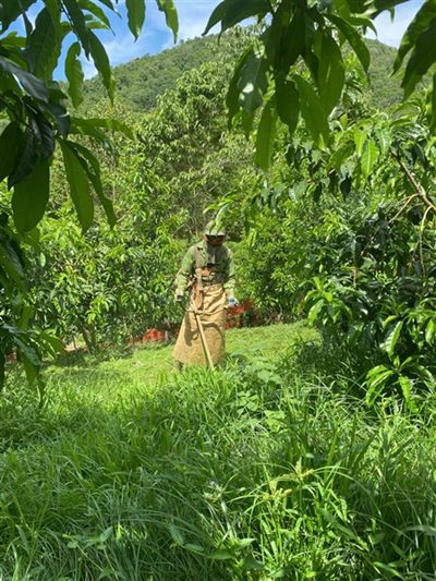 Canh tác tự nhiên