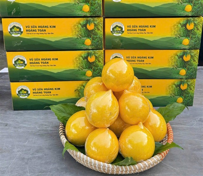 Dấu hiệu nhận biết vú sữa ngon khi chọn mua