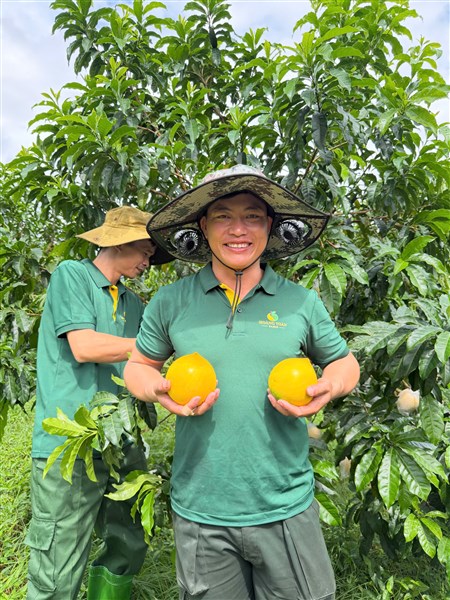 Thu hoạch đúng độ