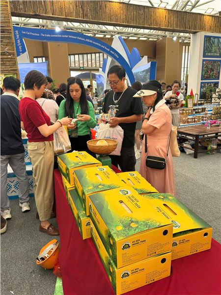 Vú sữa Hoàng Kim (HK-2): Sản phẩm chất lượng cao của Hoàng Toàn Farm chinh phục người tiêu dùng