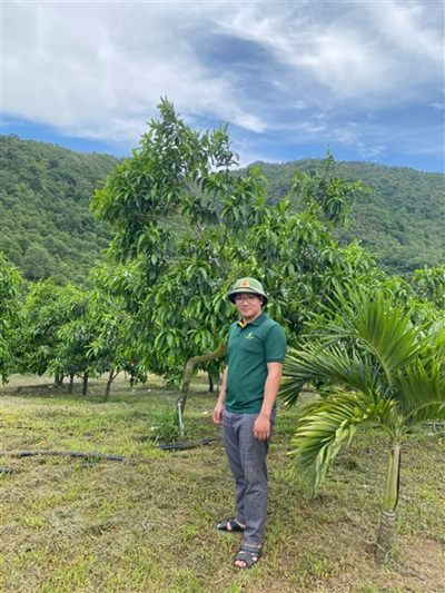 Khẳng định chất lượng nông sản Việt với vú sữa Hoàng Kim (HK-2) từ Hoàng Toàn Farm
