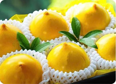 Vú sữa Hoàng Toàn Tiêu chuẩn (Loại 2)